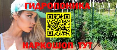 МДПВ Пенза