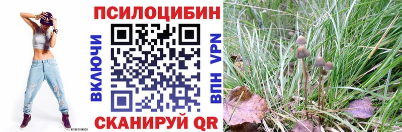 Галлюциногенные грибы Psilocybine cubensis  Евпатория 