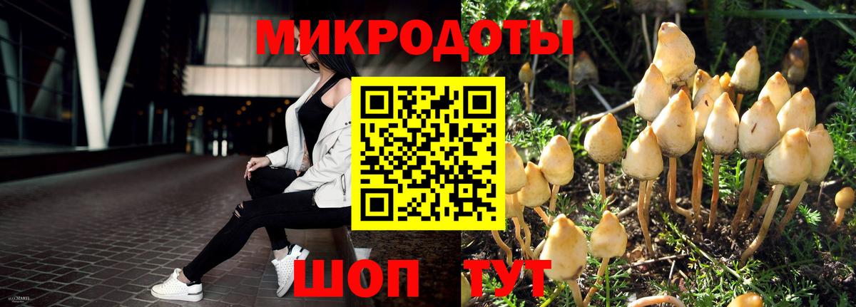 Евпатория  Псилоцибиновые грибы Psilocybe  Псилоцибиновые грибы Psilocybine cubensis  Вход с VPN 