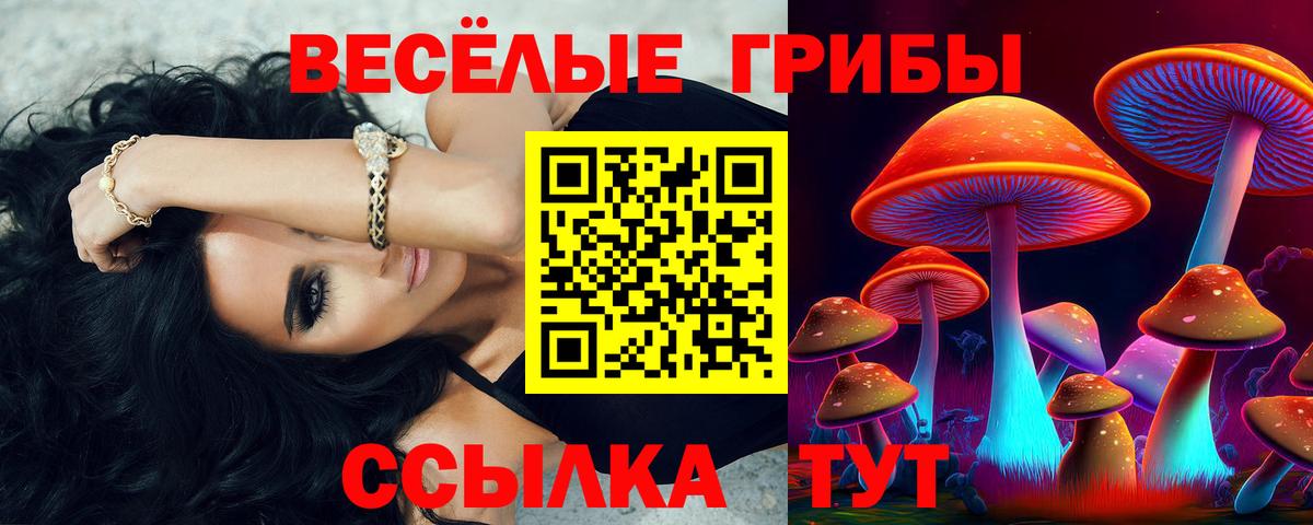 Галлюциногенные грибы Cubensis Евпатория